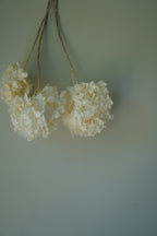 Moonrise Flower Bouquet