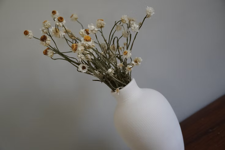 Dried Ammobium Bunch