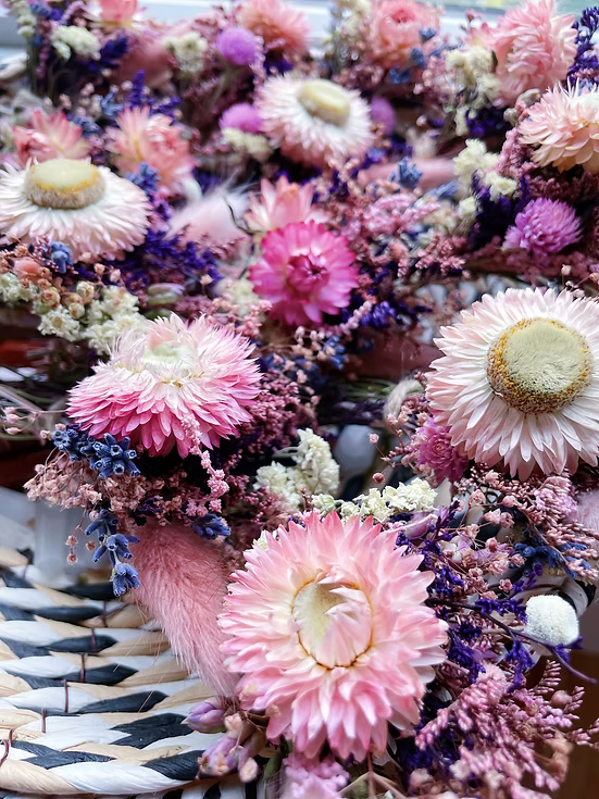 Pink and Blush Dried Strawflowers