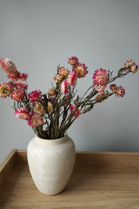 Pink and Blush Dried Strawflowers