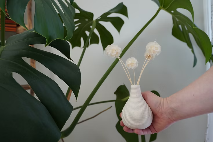 Preserved Scabiosa Bunch